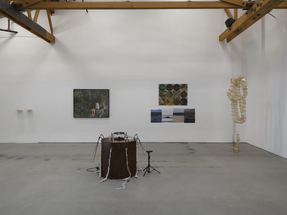 Discarded Organ installation