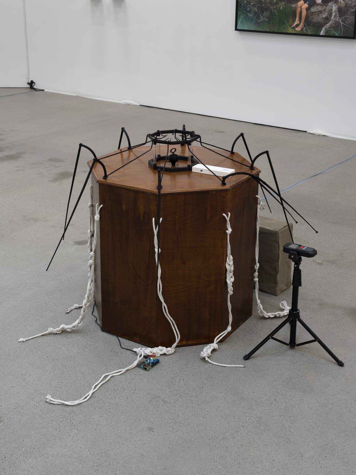 Discarded Organ installation